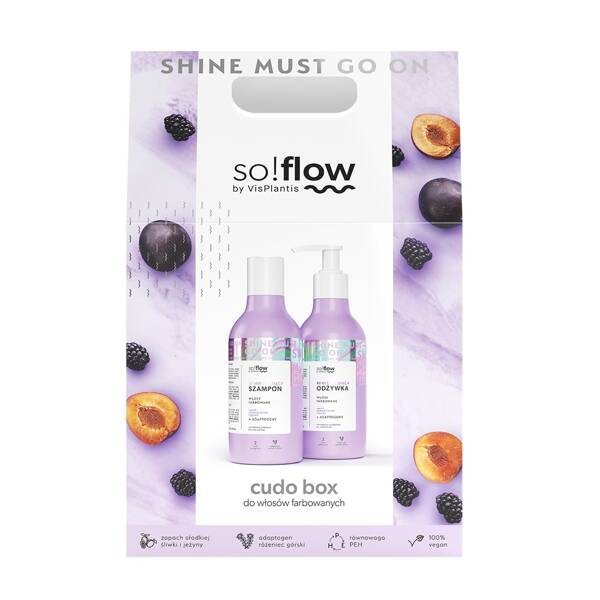 So!Flow Zestaw dla Włosów Farbowanych Cudo Box 1 Sztuka